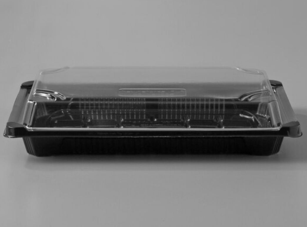 Sushi Container 7 with Lid