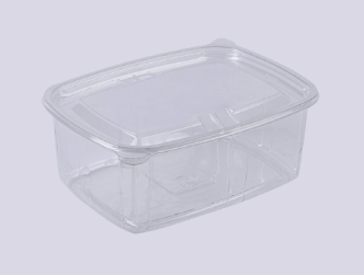 Rectangular Transparent with Lids 1000 CC