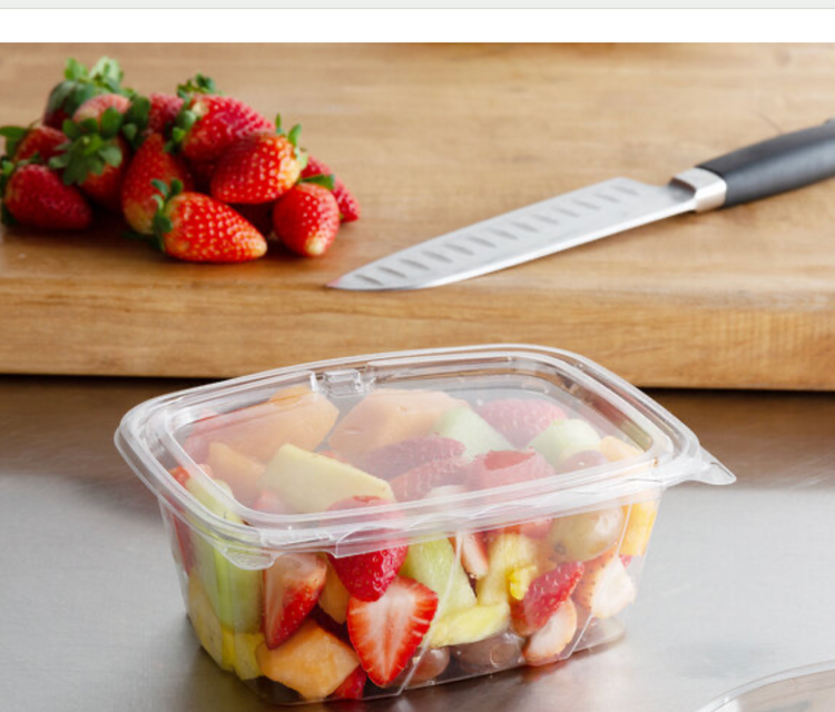 Plastic Rectangular Container