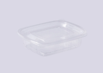 Rectangular  Transparent with Lids 4 OZ